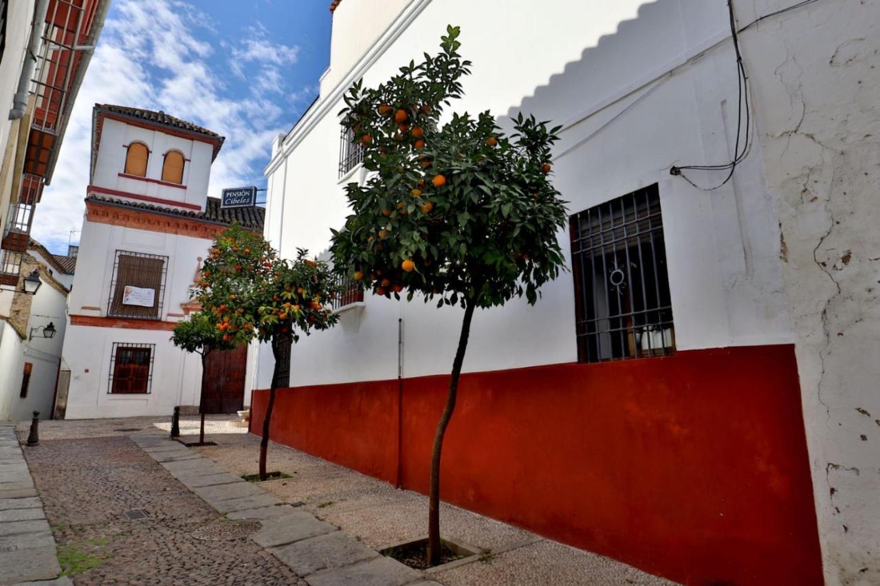 Pension Cibeles - Cordoba — Photos 1